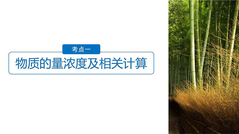 2021版高中化学一轮复习课件:第一章 化学计量在实验中的应用 第4讲PPT89张04