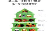 人教版 (新课标)选修1 化学与生活第一节 合理选择饮食教课课件ppt