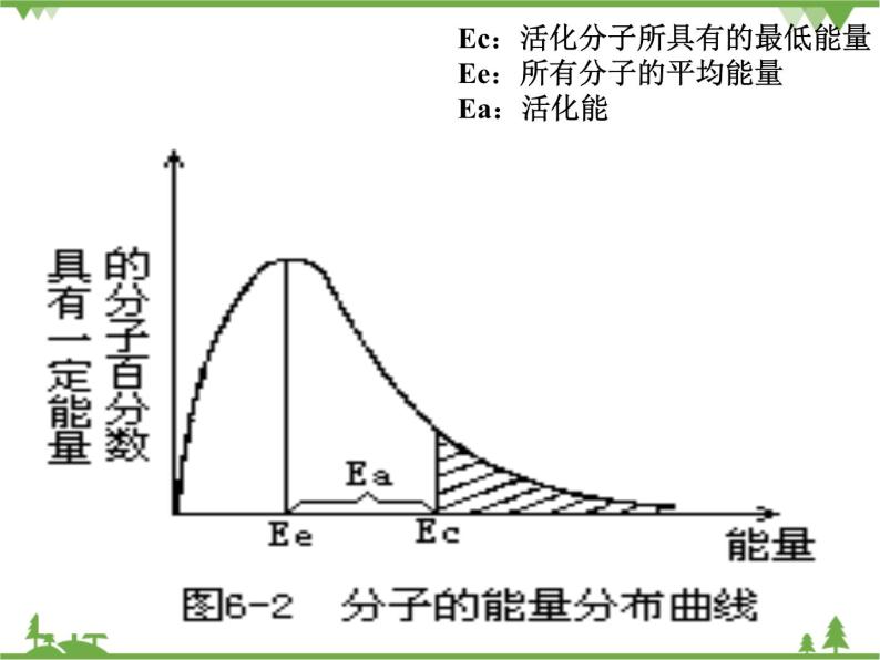 人教版选修四高中化学2.2《影响化学反应速率的因素》PPT课件05