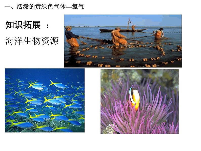 人教版高中化学必修1课件:4.2富集在海水中的元素—氯(第1课时) (共29张PPT)06