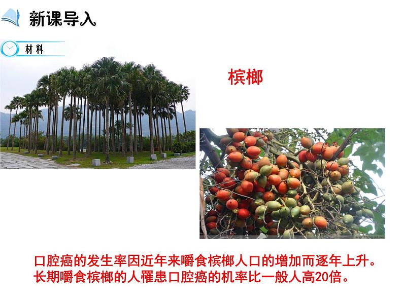 【推荐】人教版高中化学选修五 1.4研究有机化合物的一般步骤和方法第1课时(课件1)03