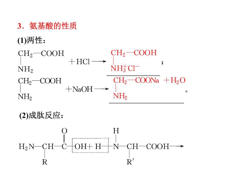 【推荐】人教版高中化学选修五 4.3蛋白质和核酸第1课时（课件1）07