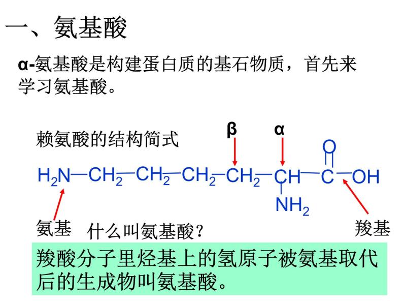 人教版化学选修5课件：4-3-1《蛋白质和核酸》（48张ppt）06