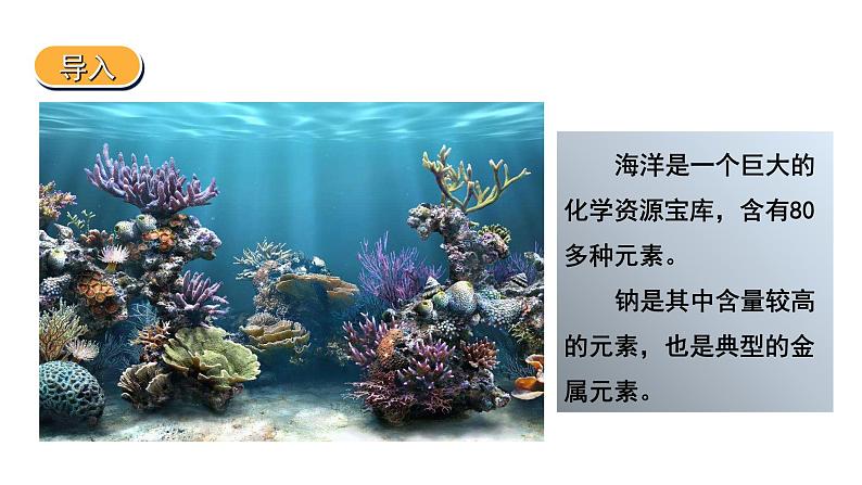 高中化学人教版(2019)必修第一册2.1.2 钠的几种化合物课件04