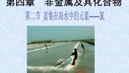 人教版 (新课标)必修1第二节 富集在海水中的元素--氯课前预习ppt课件