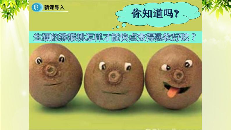 人教版高中化学必修二 第三章 有机化合物 第二节 《来自石油和煤的两种基本化工原料》课时1 课件04
