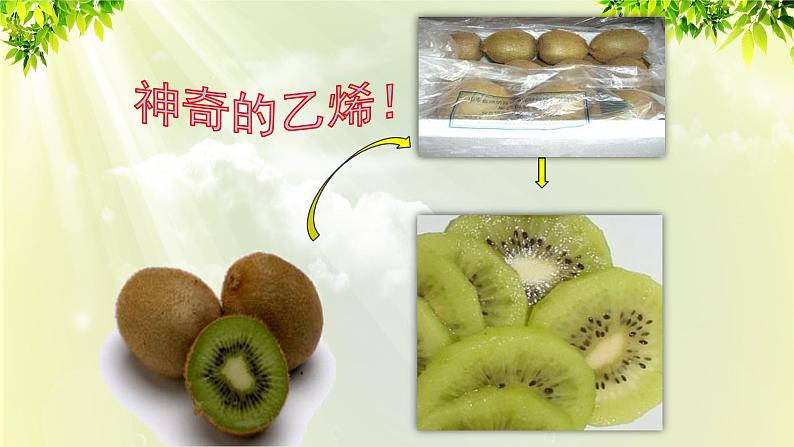 人教版高中化学必修二 第三章 有机化合物 第二节 《来自石油和煤的两种基本化工原料》课时1 课件05