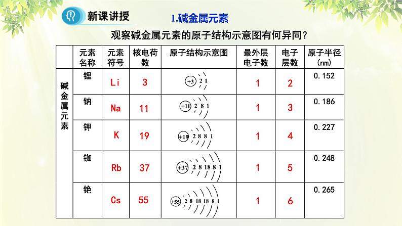 人教版高中化学必修二 第一章 物质结构 元素周期律 第一节《元素周期表》课时2 课件06