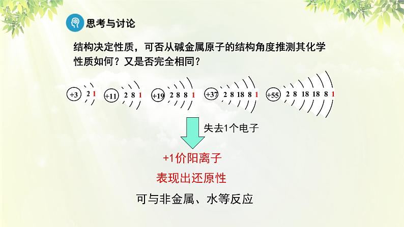 人教版高中化学必修二 第一章 物质结构 元素周期律 第一节《元素周期表》课时2 课件08