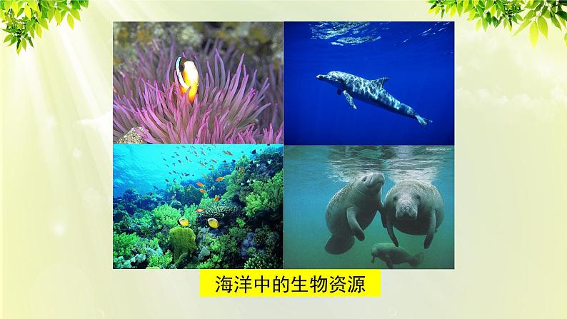 人教版高中化学必修二 第四章 化学与自然资源的开发利用 第一节 《开发利用金属矿物和海水资源》课时2 课件第5页