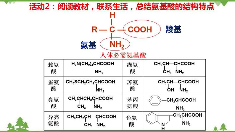 7.4.2 蛋白质、油脂-高中化学新教材 同步教学课件(人教2019必修第二册)05
