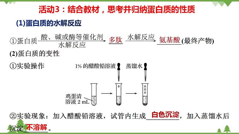 7.4.2 蛋白质、油脂-高中化学新教材 同步教学课件(人教2019必修第二册)06