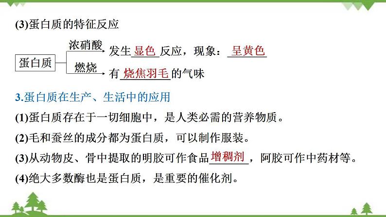 7.4.2 蛋白质、油脂-高中化学新教材 同步教学课件(人教2019必修第二册)08