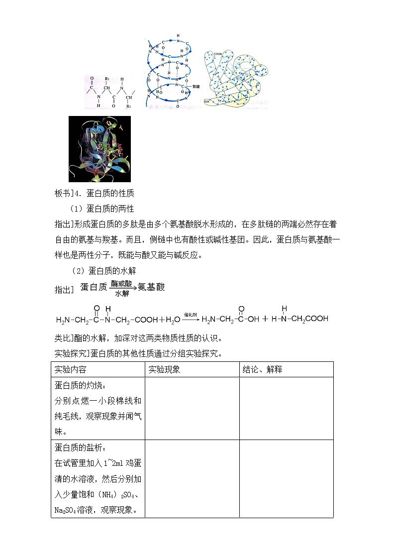 人教版高中化学选修五 4.3蛋白质和核酸第1课时(教案2)02