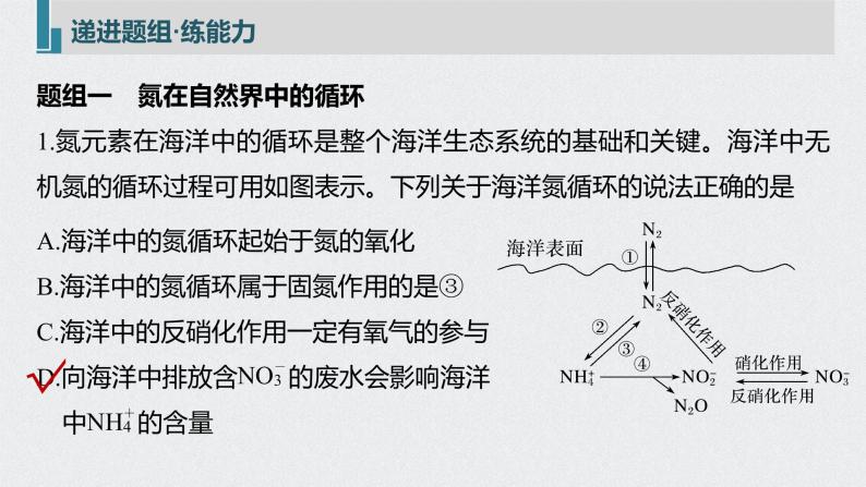 2022高考化学一轮复习 第四章 第24讲　氮及其化合物的转化课件08