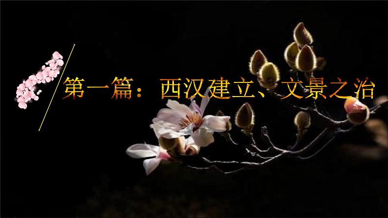 2021-2022学年统编版(2019) 必修中外历史纲要上 第4课 西汉与东汉—统一多民族封建国家的巩固(课件)第7页