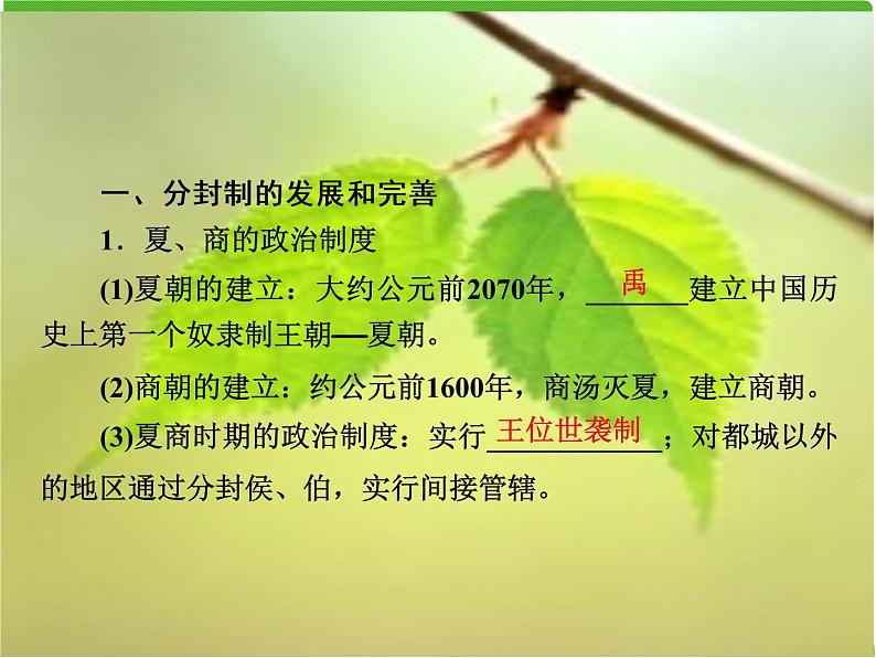 北师大版高中历史必修1 第1课 夏商周的政治制度(课件)第3页