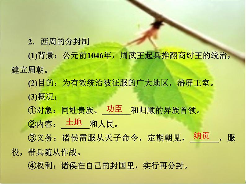 北师大版高中历史必修1 第1课 夏商周的政治制度(课件)第4页