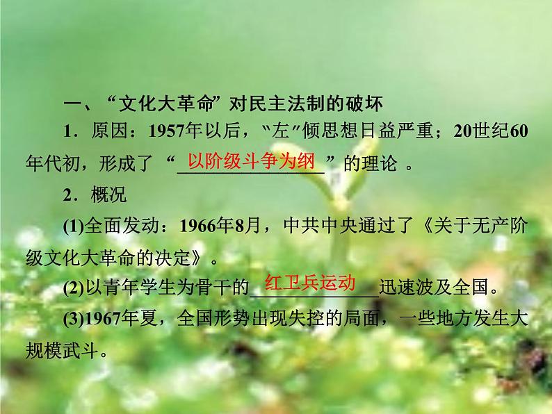 北师大版高中历史必修1 第12课 新时期民主法制建设的成就(课件)第3页