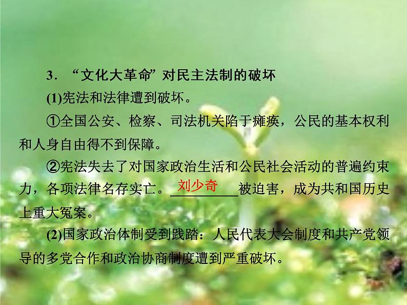 北师大版高中历史必修1 第12课 新时期民主法制建设的成就(课件)第4页