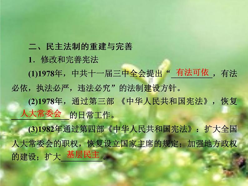 北师大版高中历史必修1 第12课 新时期民主法制建设的成就(课件)第5页