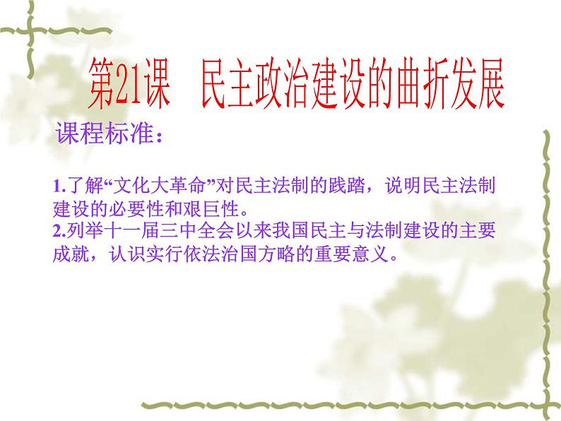 人教版高中历史必修一人教版:第21课《民主政治建设的曲折发展》ppt课件第2页