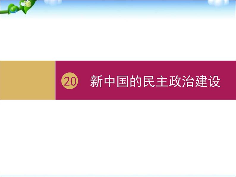 人教版高中历史必修一第20课新中国的民主政治建设设计一课件第2页