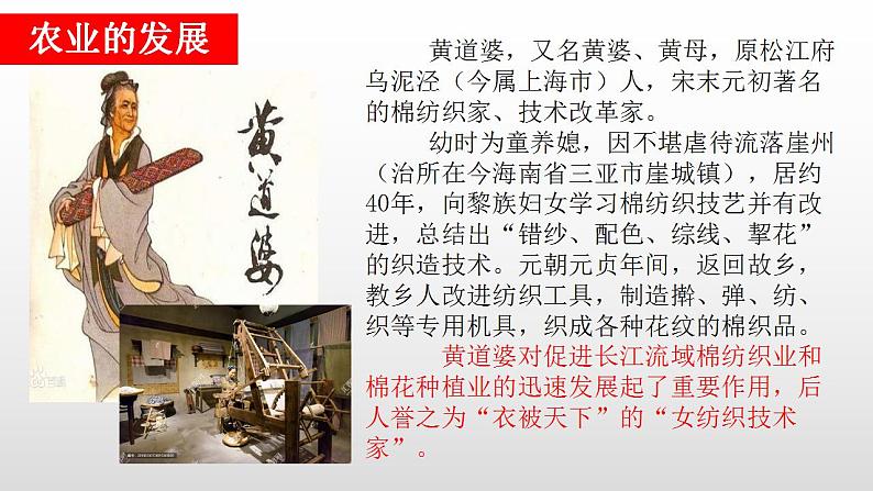 第11课辽宋夏金元的经济与社会课件PPT05