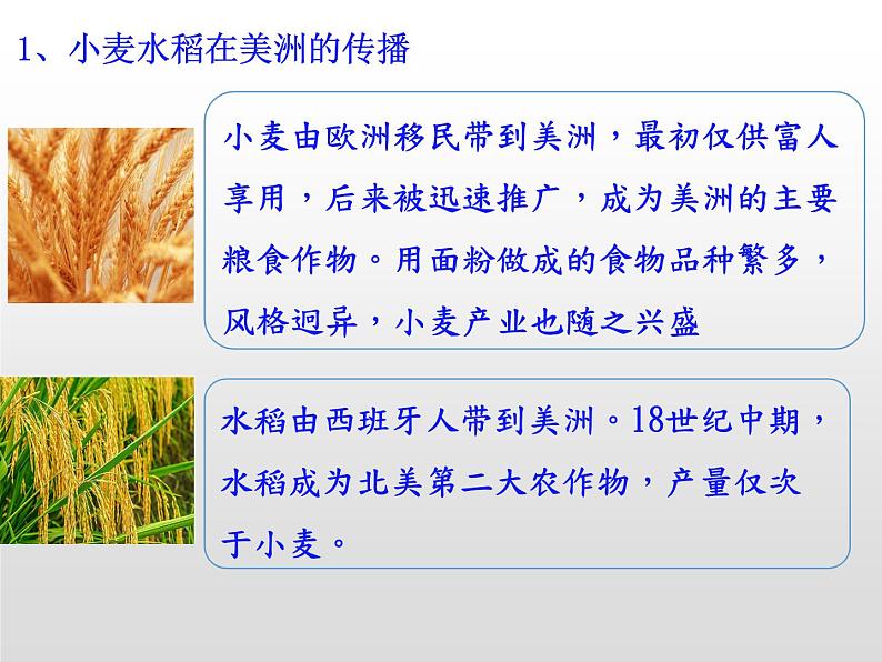 历史统编版历史选择性必修2第2课新航路开辟后的食物物种交流(共20张ppt)第7页