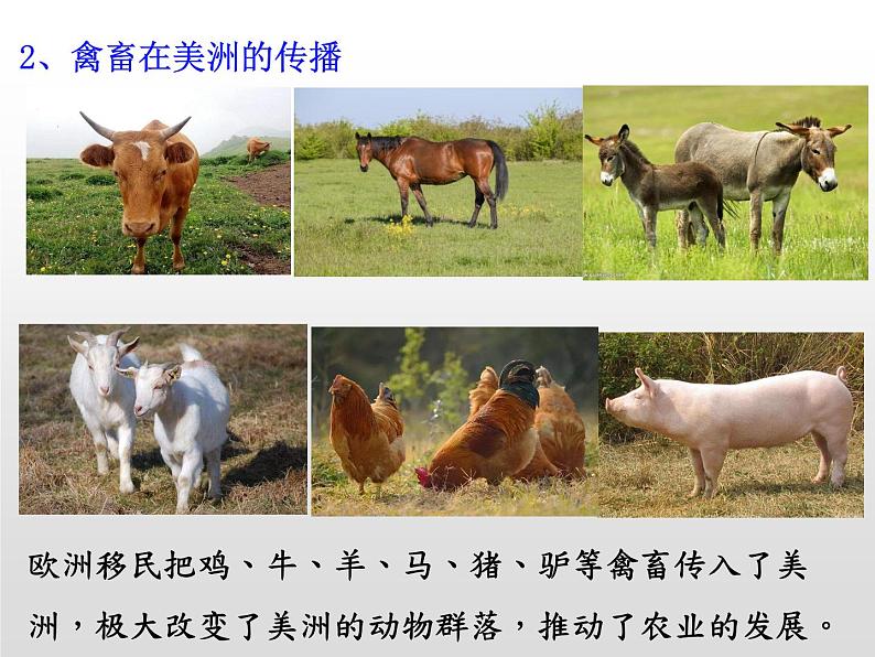 历史统编版历史选择性必修2第2课新航路开辟后的食物物种交流(共20张ppt)第8页