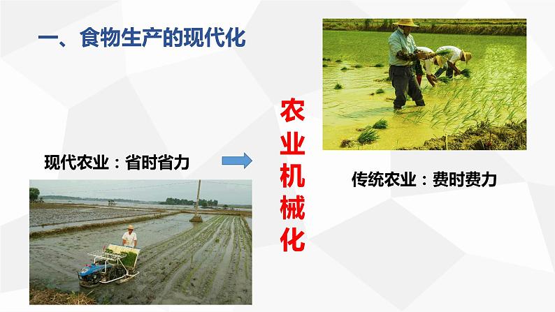 讲课-高中历史选修2经济与社会生活第3课现代食物的生产、储备与食品安全课件PPT第4页