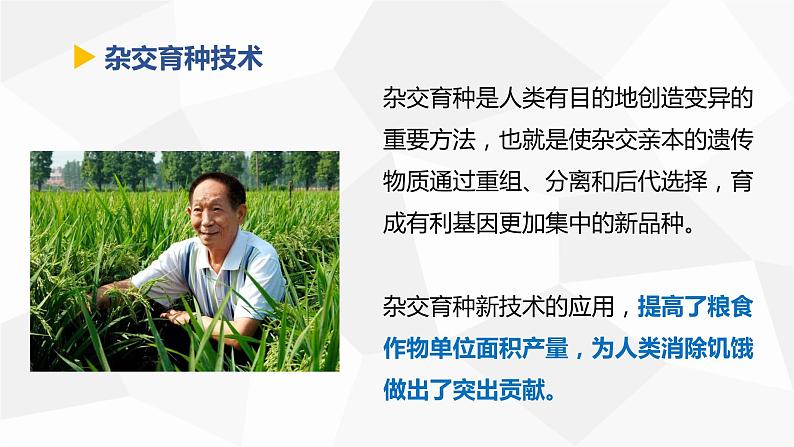 讲课-高中历史选修2经济与社会生活第3课现代食物的生产、储备与食品安全课件PPT第7页