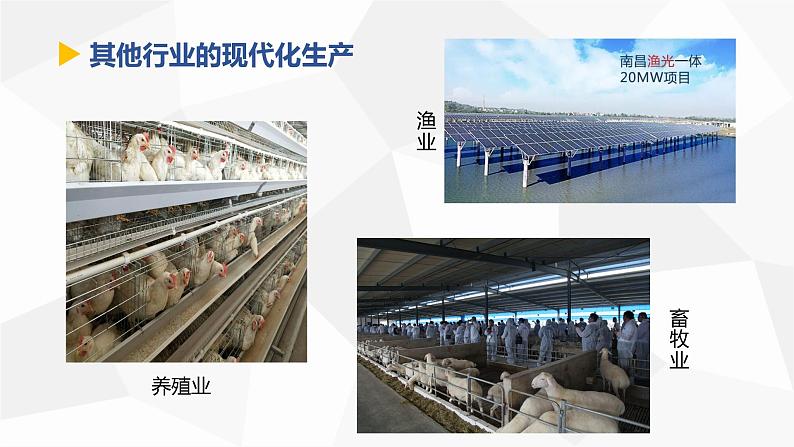 讲课-高中历史选修2经济与社会生活第3课现代食物的生产、储备与食品安全课件PPT第8页