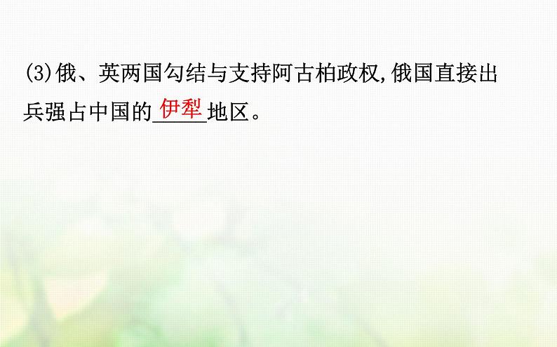 人民版必修一专题二近代中国维护国家主权的斗争2.2中国军民维护国家主权的斗争课件第6页