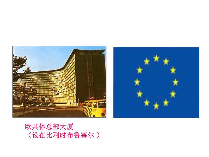 人教新課標版高中歷史必修1第26課世界多極化趨勢的出現(xiàn)（共張17PPT）課件PPT第8頁