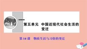 2021学年14 物质生活与习俗的变迁示范课ppt课件