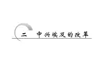 人民版高中历史选修一6.2中兴埃及的改革 课件PPT