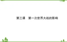 人民版高中历史选修三  1.3第一次世界大战的影响 课件