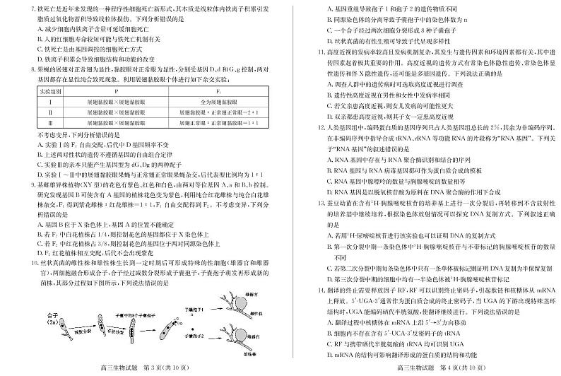 山东省德州市2021-2022学年高三上学期期中考试生物试题02