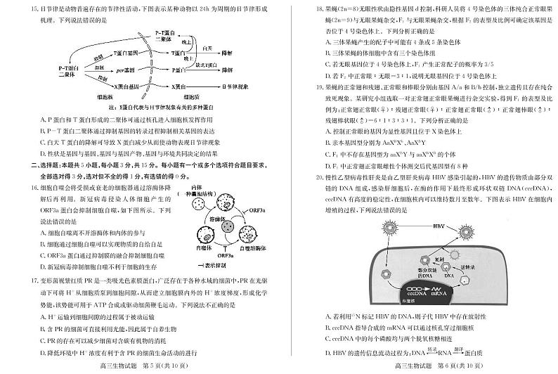 山东省德州市2021-2022学年高三上学期期中考试生物试题03