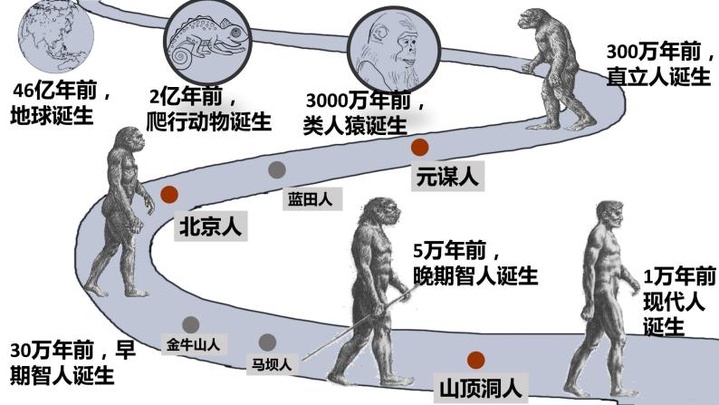 1--中华文明的起源与早期国家课件PPT05