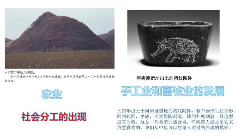 第1课《中华文明的起源与早期国家》课件PPT+教案08