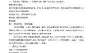 人教版 (新课标)必修2 经济史6 殖民扩张与世界市场的拓展教案
