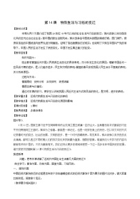 高中历史人教版 (新课标)必修2 经济史14 物质生活与习俗的变迁教学设计