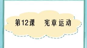 历史选修2 近代社会的民主思想与实践第12课  宪章运动评课ppt课件