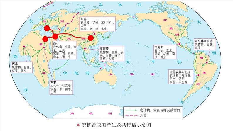 第8课 世界市场与商业贸易 课件-(共24张PPT)-2021-2022学年高中历史统编版(2019)选择性必修二经济与社会生活03