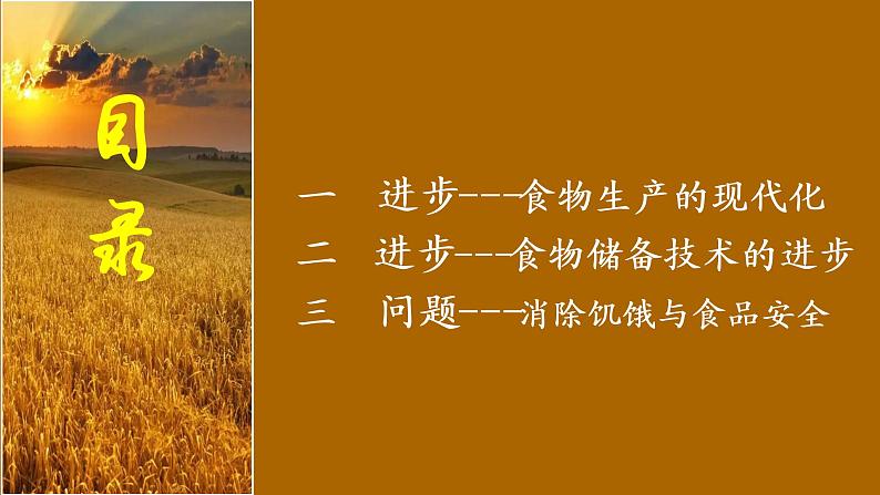 高中历史统编版(2019)选择性必修二经济与社会生活第3课 现代食物的生产、储备与食品安全(共21张ppt)第4页