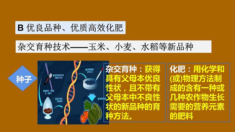 高中历史统编版(2019)选择性必修二经济与社会生活第3课 现代食物的生产、储备与食品安全(共21张ppt)第8页