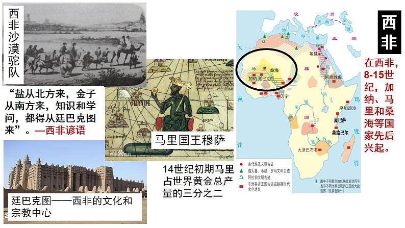 2021-2022学年高中历史统编版2019必修中外历史纲要下册第5课 古代非洲与美洲 课件第7页