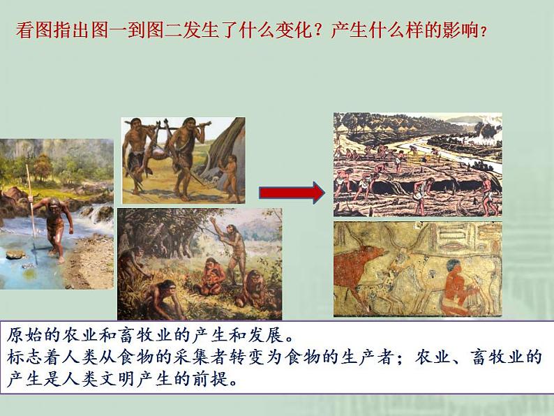 2021-2022学年高中历史统编版(2019)必修中外历史纲要下册第1课 文明的产生与早期发展 课件第7页
